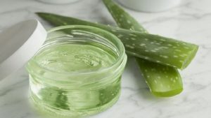 Comment extraire le gel d'Aloe Vera