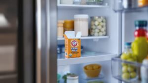 bicarbonate odeur frigo