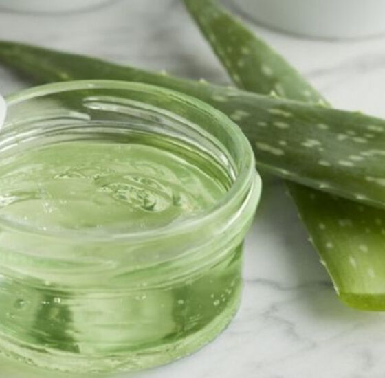 Comment extraire le gel d'Aloe Vera