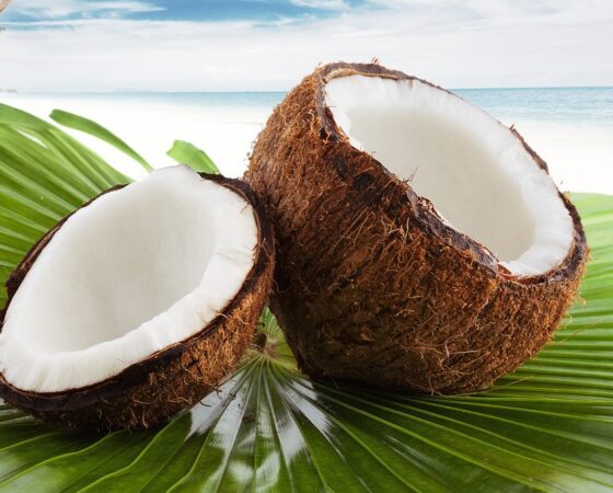 Masque Visage à la noix de coco
