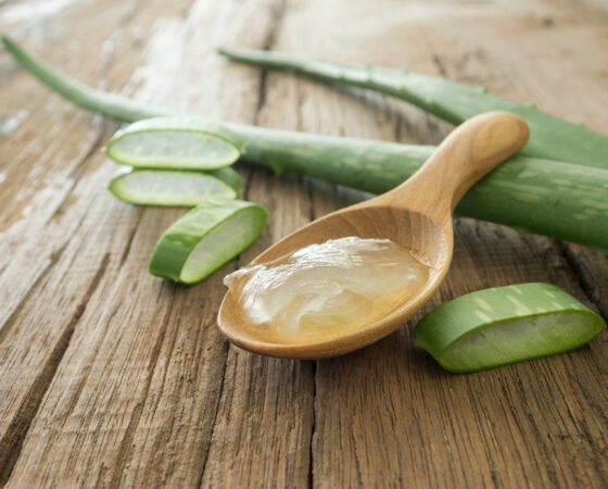 masque de visage d'acné d'Aloe Vera d'aloès