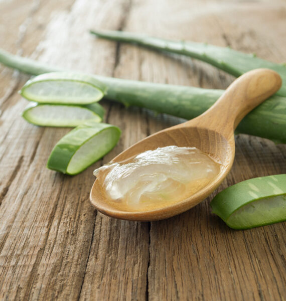 masque de visage d'acné d'Aloe Vera d'aloès